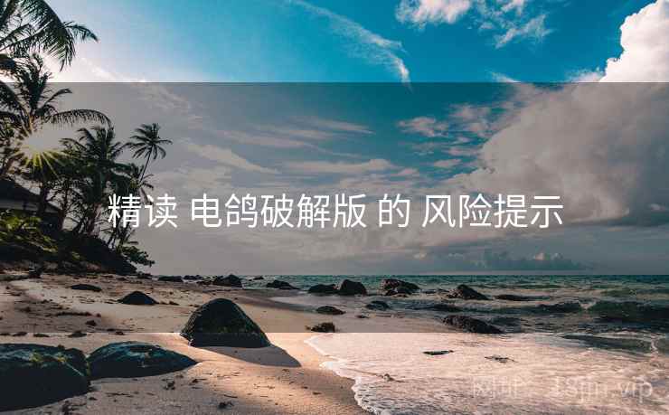 精读 电鸽破解版 的 风险提示