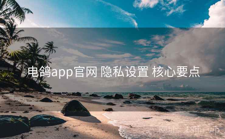 电鸽app官网 隐私设置 核心要点