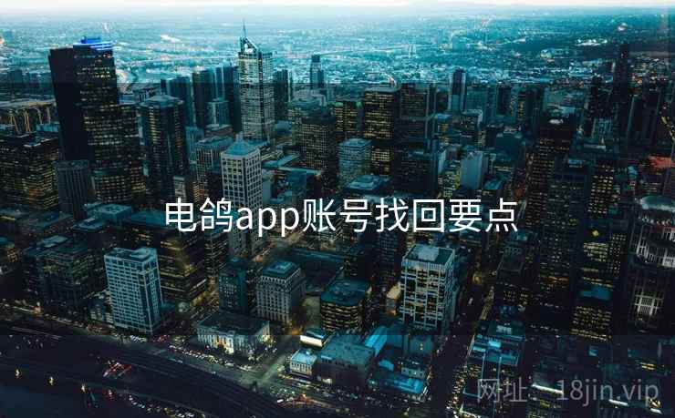电鸽app账号找回要点