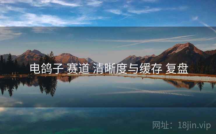 电鸽子 赛道 清晰度与缓存 复盘