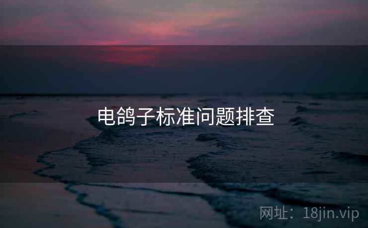 电鸽子标准问题排查