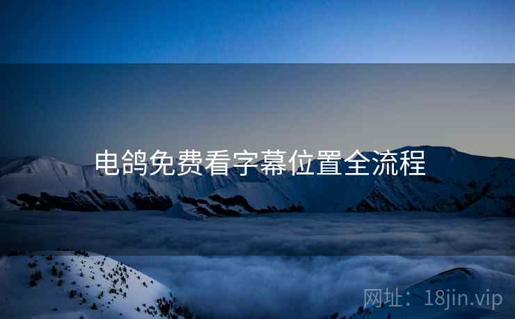 电鸽免费看字幕位置全流程
