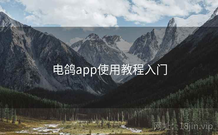 电鸽app使用教程入门