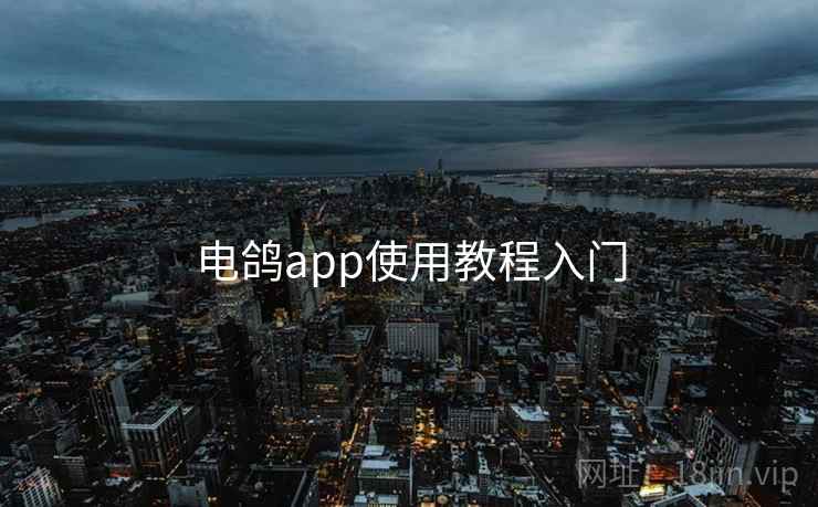 电鸽app使用教程入门