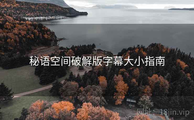 秘语空间破解版字幕大小指南