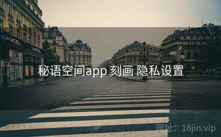 秘语空间app 刻画 隐私设置