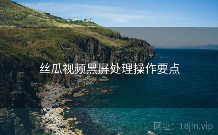 丝瓜视频黑屏处理操作要点