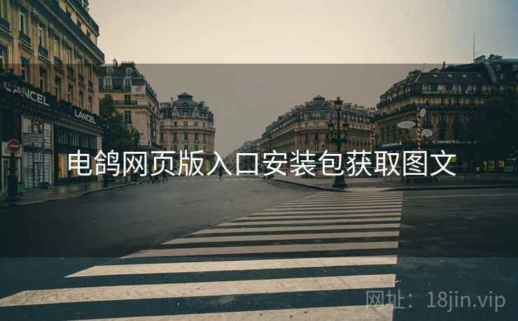 电鸽网页版入口安装包获取图文