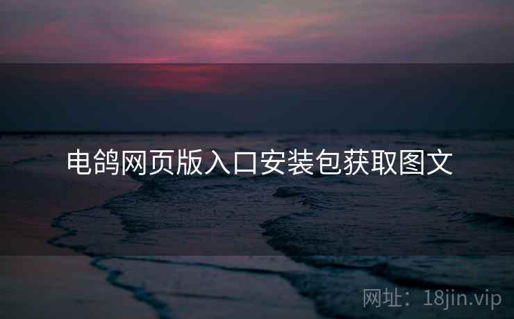 电鸽网页版入口安装包获取图文