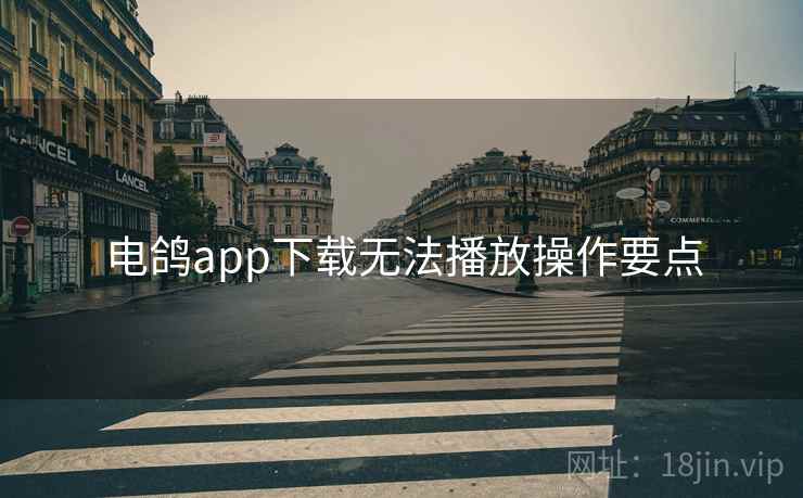 电鸽app下载无法播放操作要点