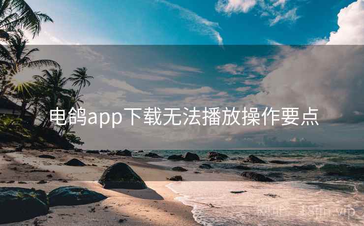 电鸽app下载无法播放操作要点